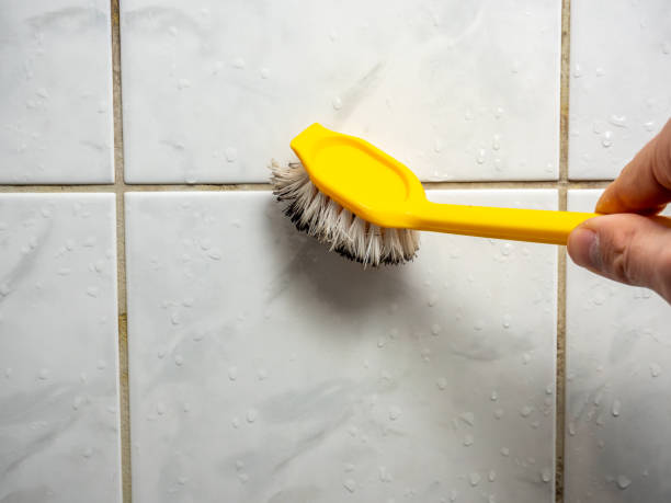 Best Mold Remediation  in Stinnett, TX