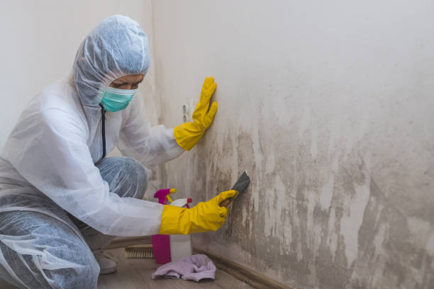 Water Damage Restoration in Stinnett, TX