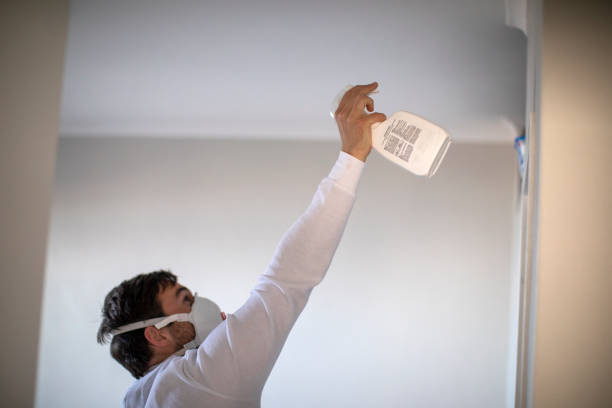 Best Mold Cleaning Services  in Stinnett, TX