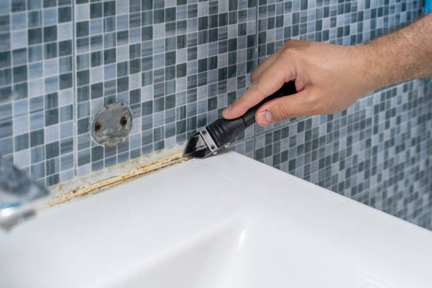 Best Best Mold Removal Companies  in Stinnett, TX