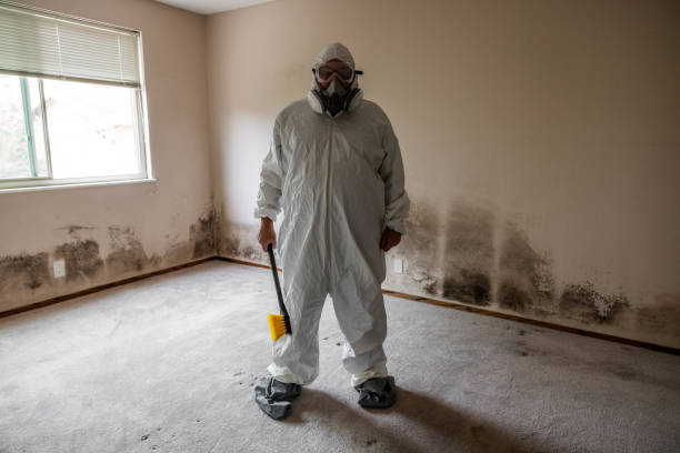 Best Residential Mold Removal  in Stinnett, TX