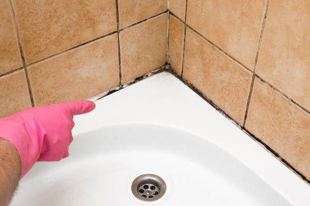 Best Mold Cleaning Services  in Stinnett, TX